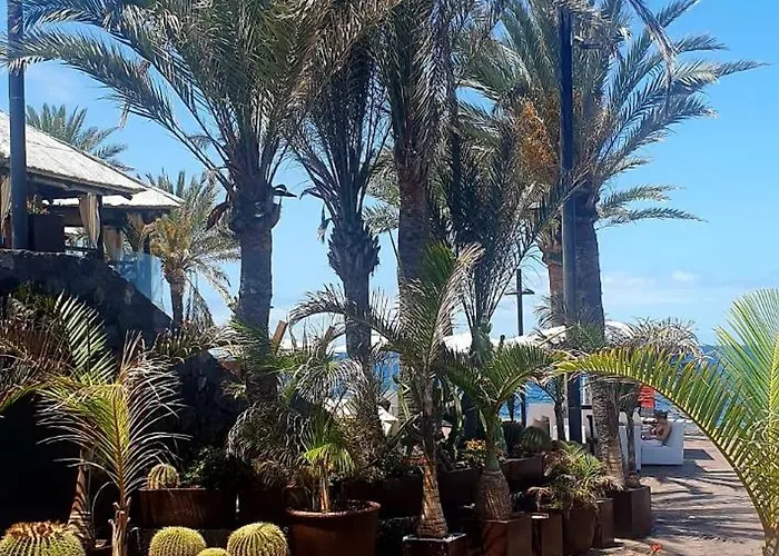 아파트 Wonderful White Appartament In Playa Americas *