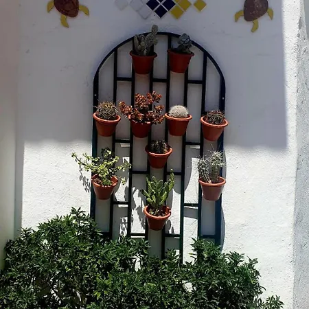 Wonderful White Appartament In Playa Americas شقة *