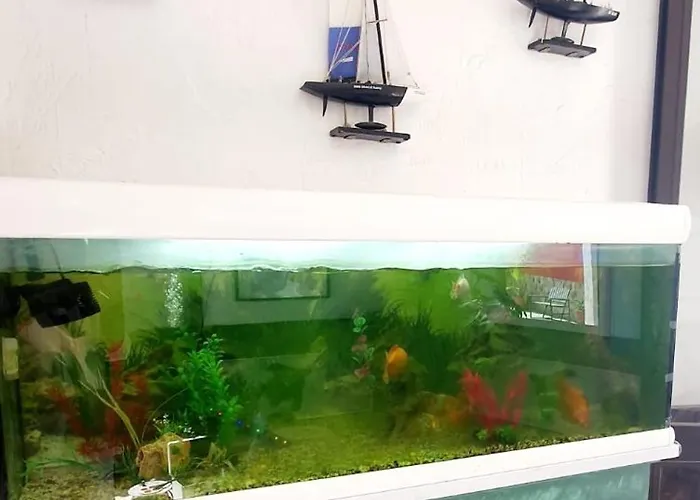 Wonderful White Appartament In Playa Americas شقة