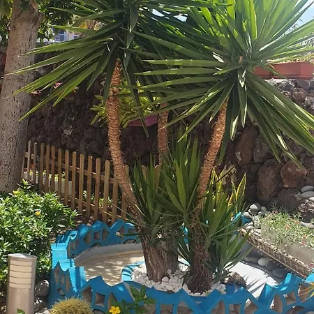 Wonderful White Appartament In Playa Americas Playa de las Américas